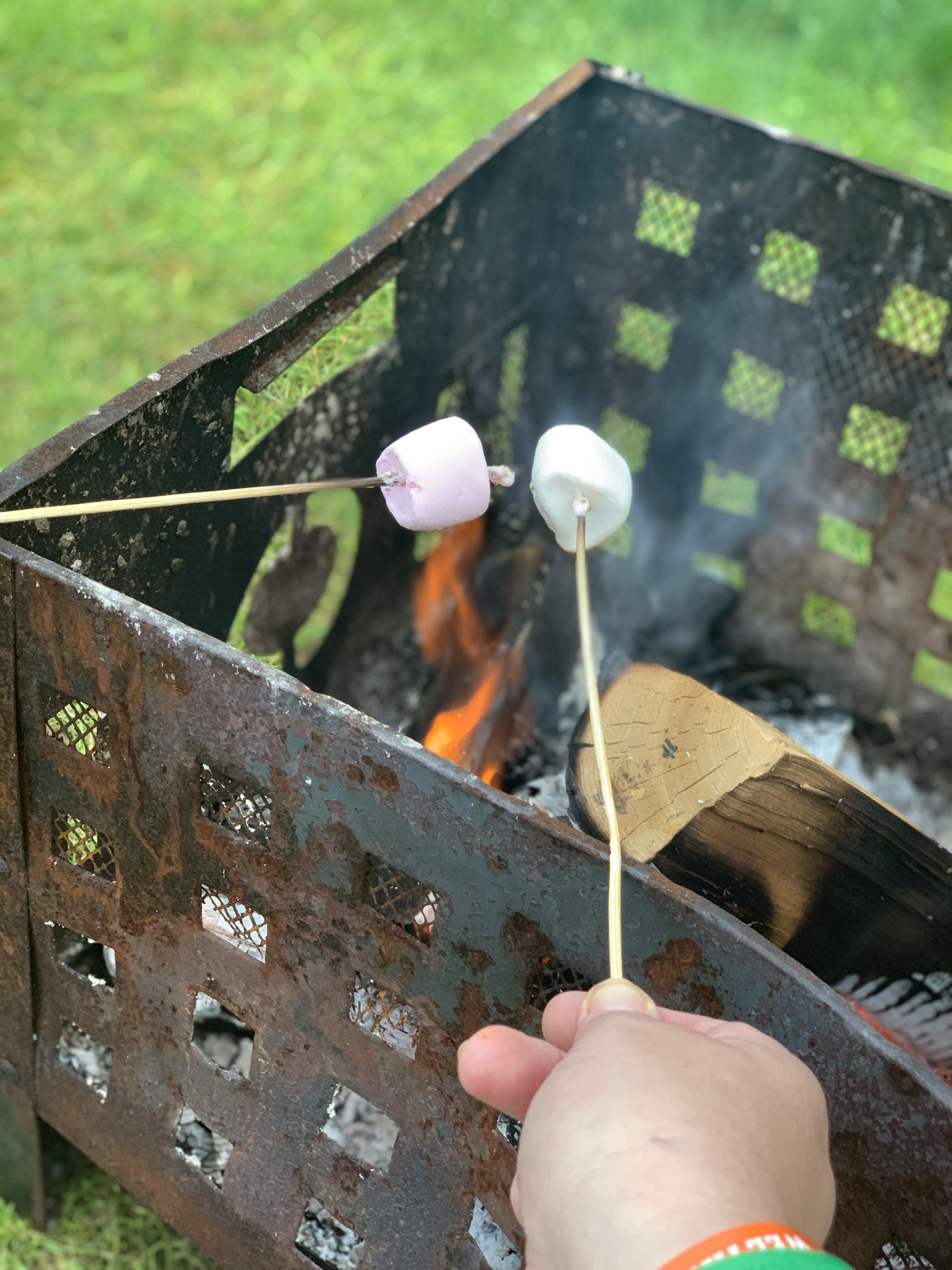 Toasting marshmallows