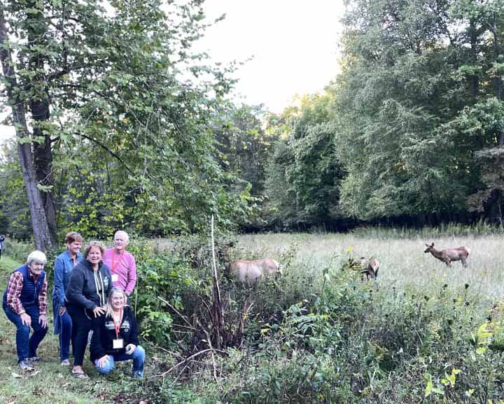 Group photo with elk nearby